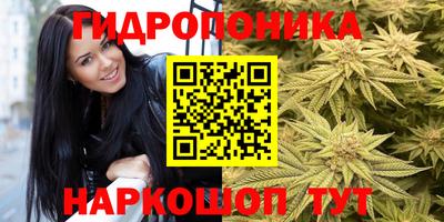 эйфоретик Абинск