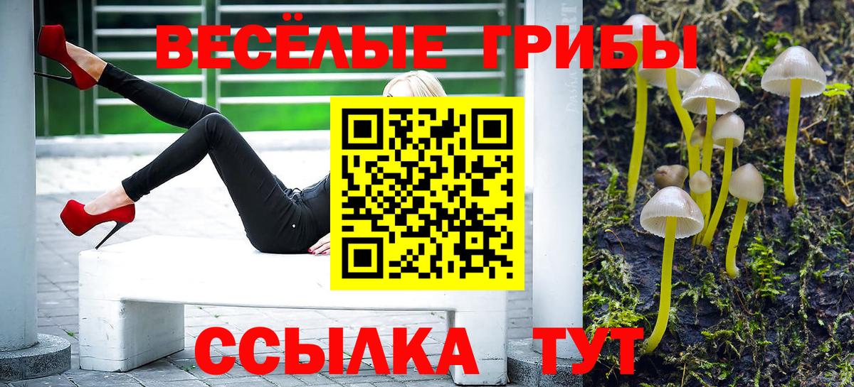 Галлюциногенные грибы мухоморы  Псилоцибиновые грибы Cubensis  Анапа  Вход с VPN 